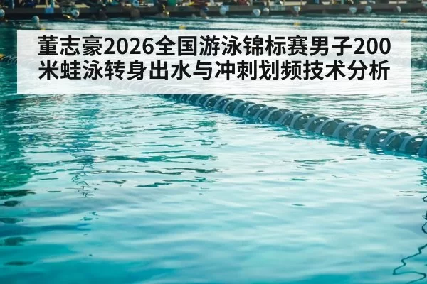 competitive swimming pool lanes